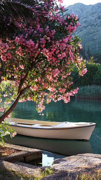 Spring is here