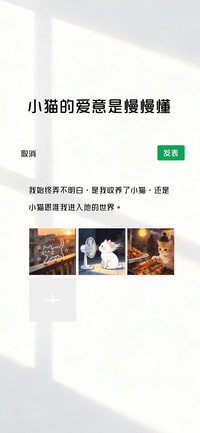 小猫的爱意是慢慢懂