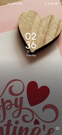 Valentine_bees