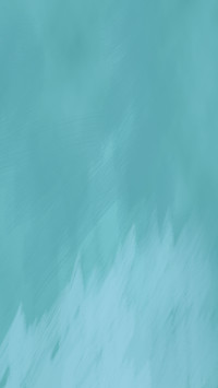 靛蓝65