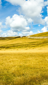 The autumn scenery of gannan intoxicates the grassland