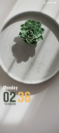 Stone Plant