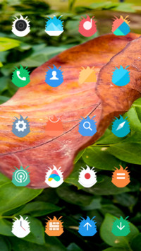 Dry Leaf_DWM3