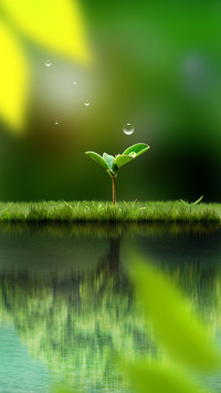 Spring scenery-03