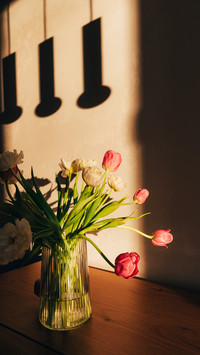 Bouquet of white and pink tulips in a transparent vase