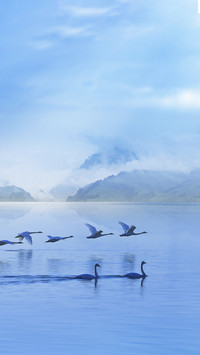 The Basic 8 Elements of Bird Photography 9