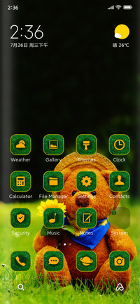 Teddy Fi