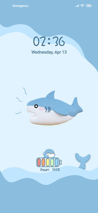 Lovely shark