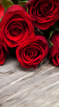 Red Roses (8)