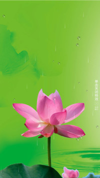 清莲