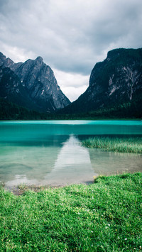 World Environmental Protection Day