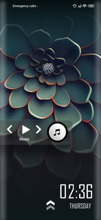 Irisy