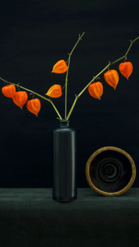 Still life of plants