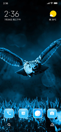 Owl Attack