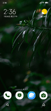 Silent Leaf