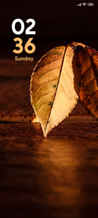 Dual Leaf