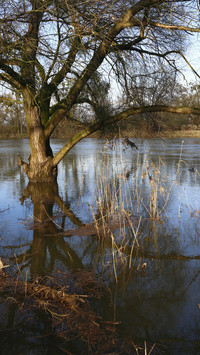 The murd river floods in winter
