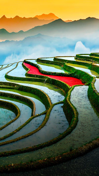 The terraced fields have beautiful lines