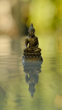 buddha best background ever
