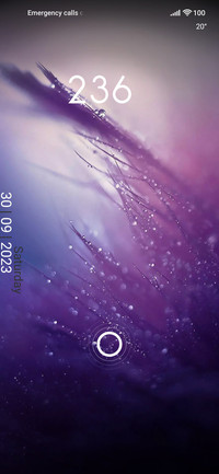 THEME