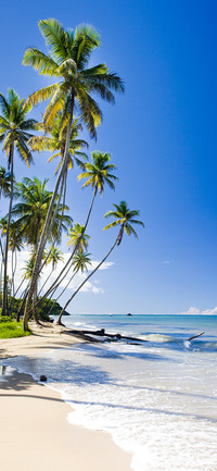 Beautiful scenery-PAIXIN