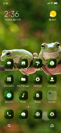 Prince_Frog