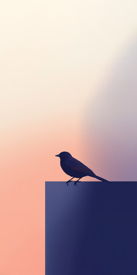 Silhouette1.jpg