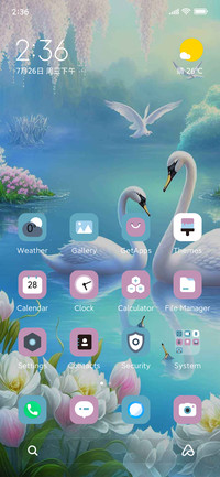 Dream Swan Lake