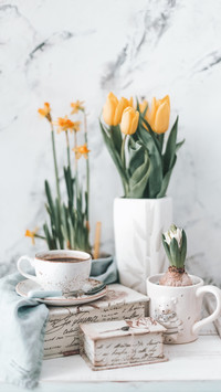 Coffee flowers and still life