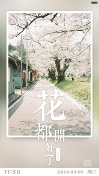 【浪漫东洋风】花都开好了【好评返现】