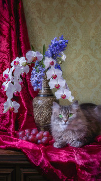 Still life with splendid bouquet and adorable gray kitty