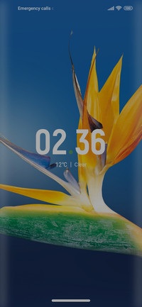 Flower_awesom