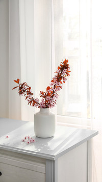 Put a bouquet of favorite flowers in front of the window