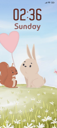 Rabbit