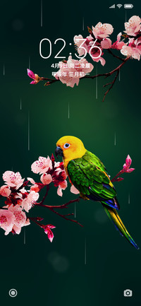 绿色护眼 鸟语花香