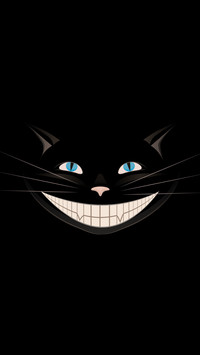 黑猫先生-拍信图库