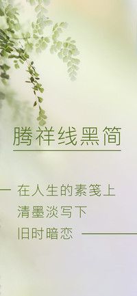 腾祥线黑简