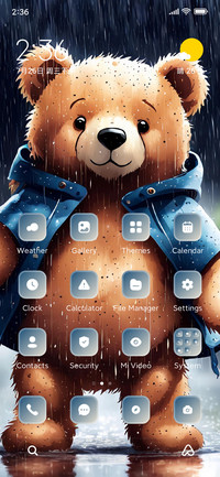 Rainy Bear