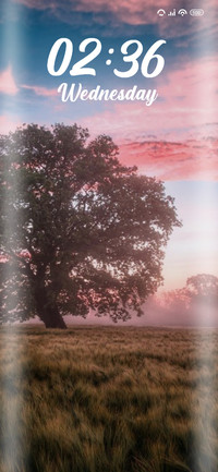 Sunrise