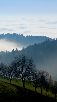 Landscape