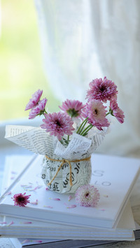 People who love flowers and plants deserve deep friendship 3