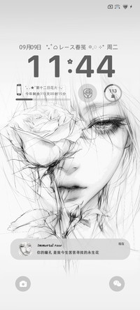 多图 赴玫瑰之约