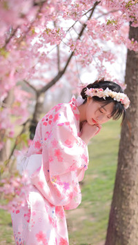 樱花“小知识”