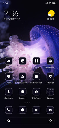 Jellyfish