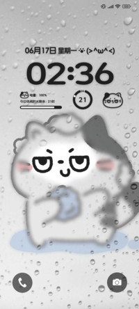 奶牛猫洗澡擦玻璃