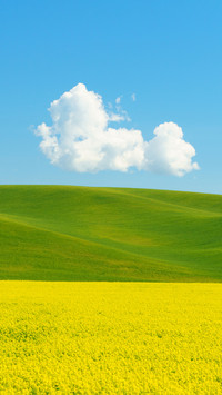 Go to a distant place to see the beauty of life