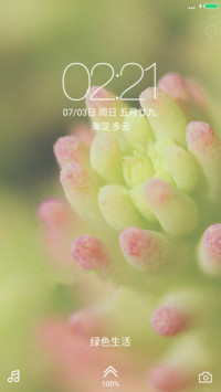 多肉植物