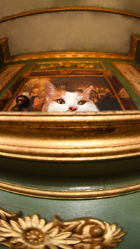 Why artists like keeping cats 27