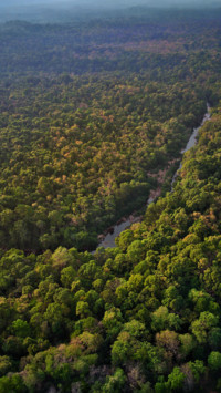 DJI_0631-07