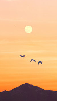 Heavenly host